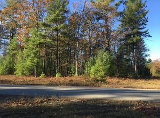 910 Wintree Dr, Indian River, MI 49749