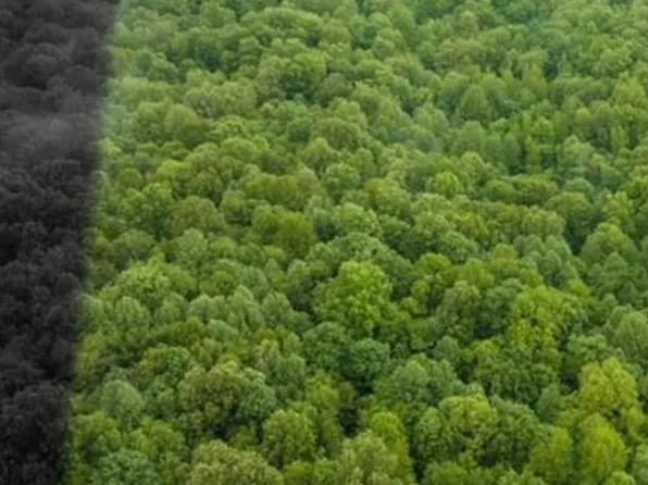 0 Cedar Grove Rd, Hartford, KY 42347