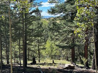 1233 Yorktown Rd, Cripple Creek, CO 80813