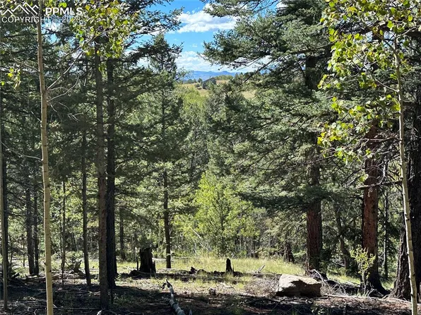 1233 Yorktown Rd, Cripple Creek, CO 80813