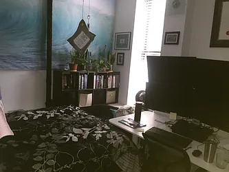 Rented by Aryeh Realty