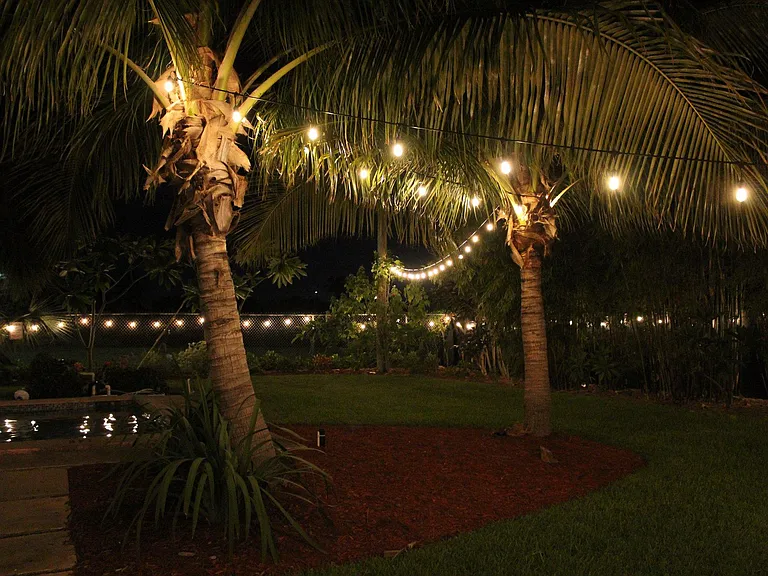 Lights strung around entire backyard for a fun atmosphere.