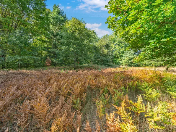 LOT 6 University Dr, Big Rapids, MI 49307