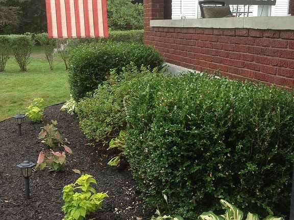 Clean landscaping