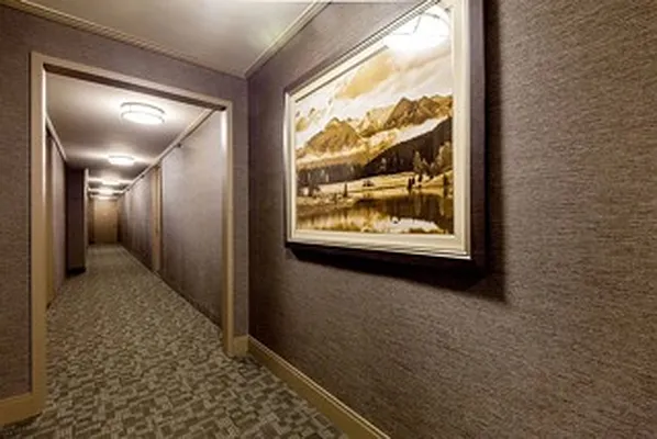 Rented by Mirador Real Estate | media 10