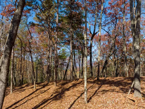 40 Preserve Trl, Ellijay, GA 30536
