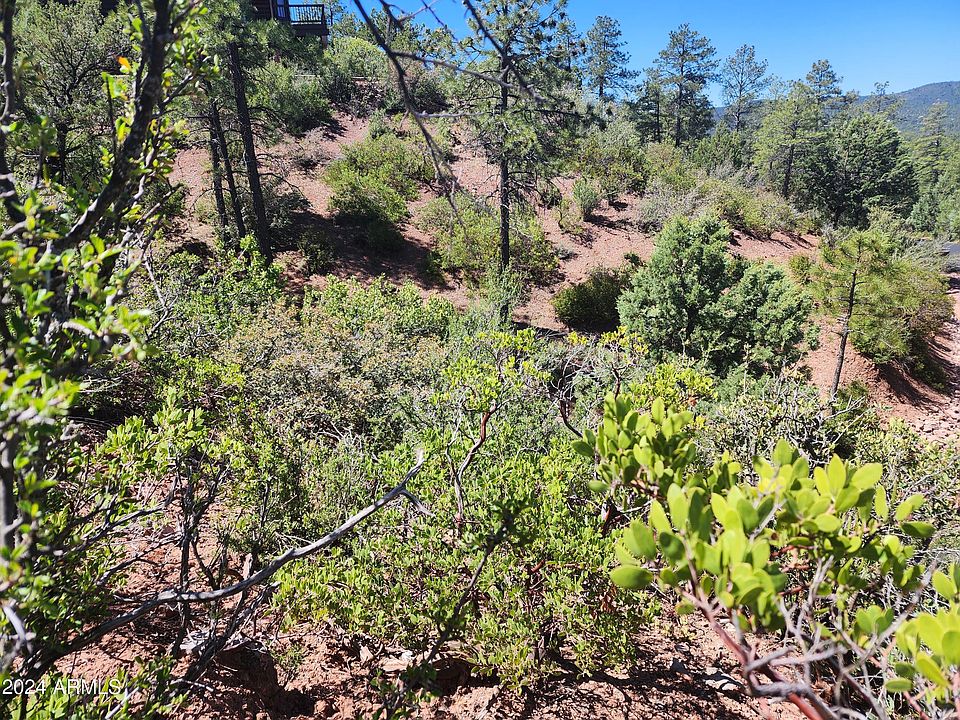 55 Foxtail Vw Pine AZ Zillow