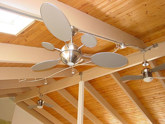 Modern Designer Euro Fans