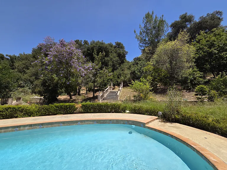20376 Bickford Dr — Photo 31