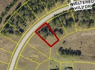 19564 Sheltered Hill Dr, Brooksville, FL 34601