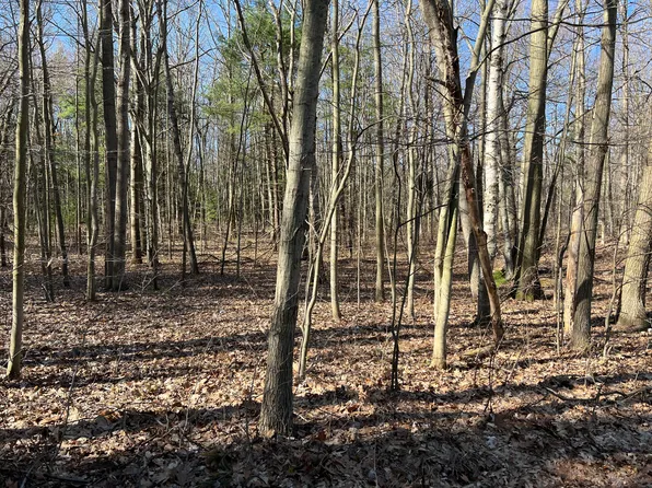 Linden St, Ludington, MI 49431