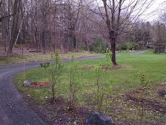 Entrance Drive