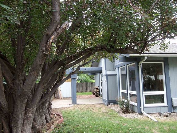 Fruit trees