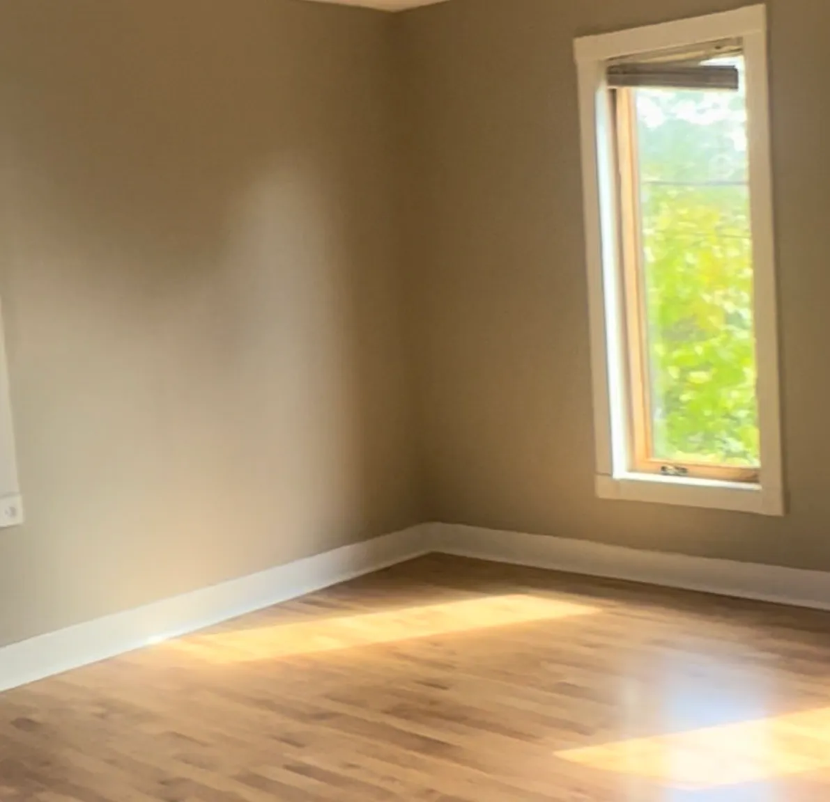 141 Frank St — Photo 3