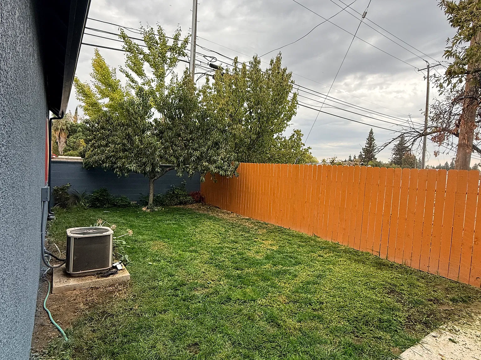 3 bed, 1410 sqft, $2,300 — Photo 4
