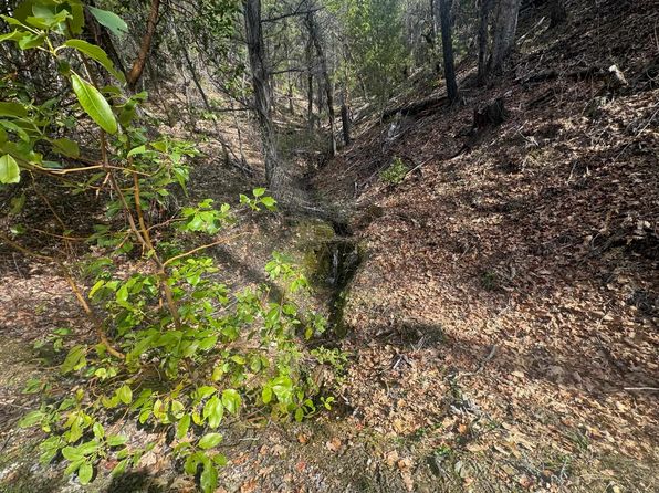122 Acres Off Usfs Rd #46N76, Happy Camp, CA 96039