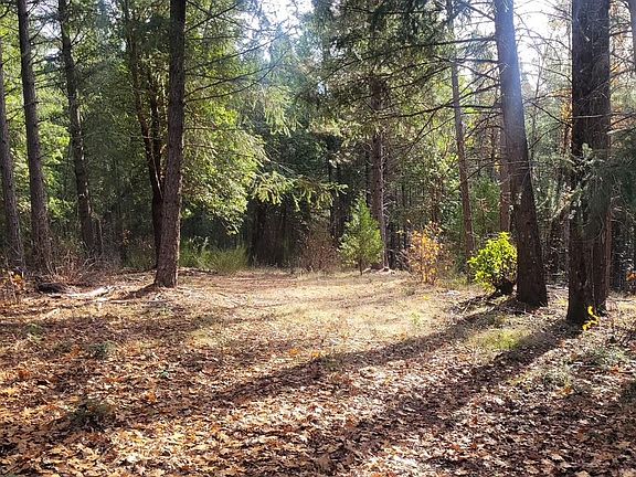 3rd image of Acres 47 Bear Creek Rd