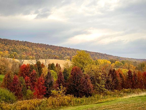 View from deck - Fall 2023