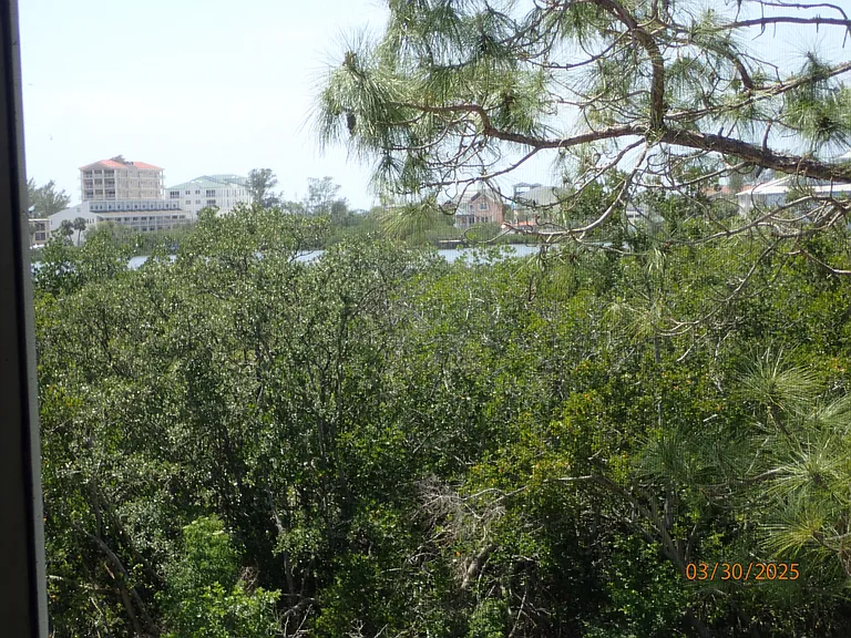 9614 Tara Cay Ct — Photo 164