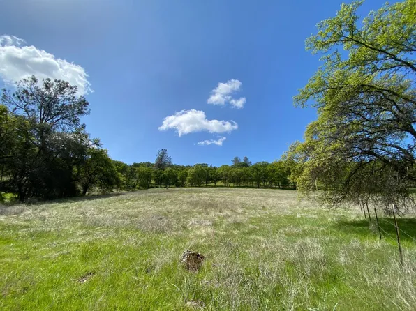 7759 Scott Forbes Rd, Browns Valley, CA 95918