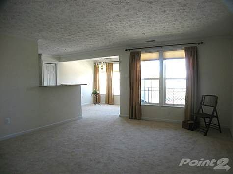 Light Filled Living Room