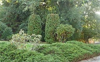 3rd image of 3519 NE 190th Pl