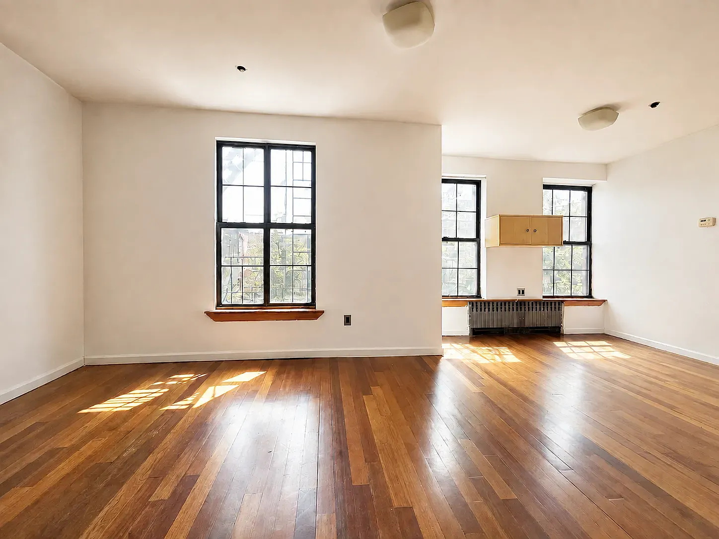 51 Eldert Street — Photo 2