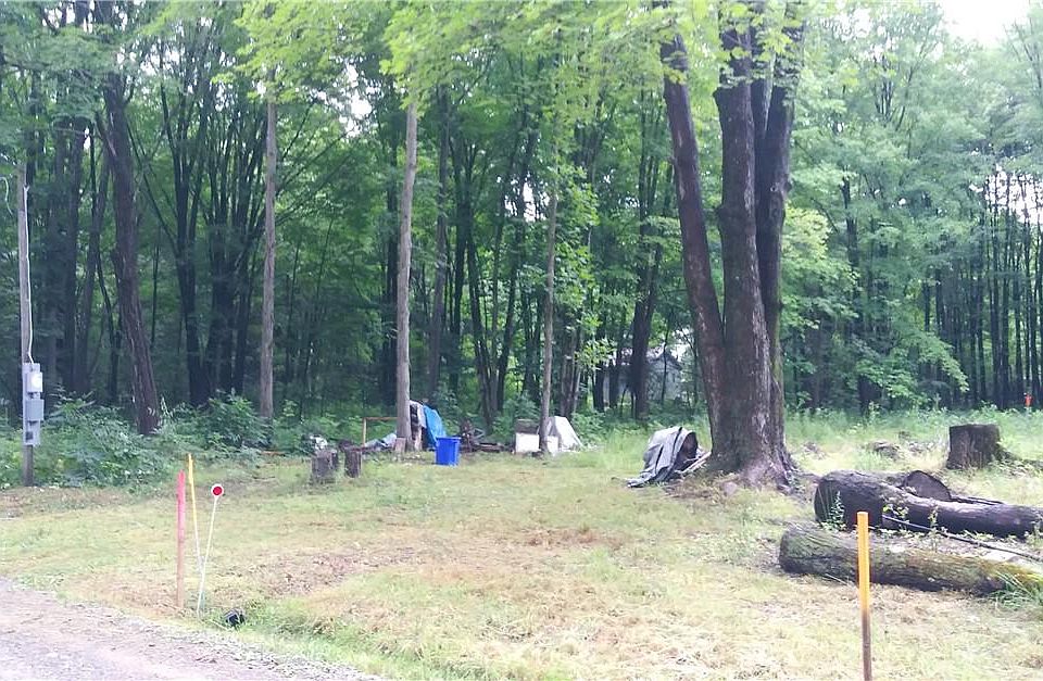 2nd image of 2061 Chippewa Rd