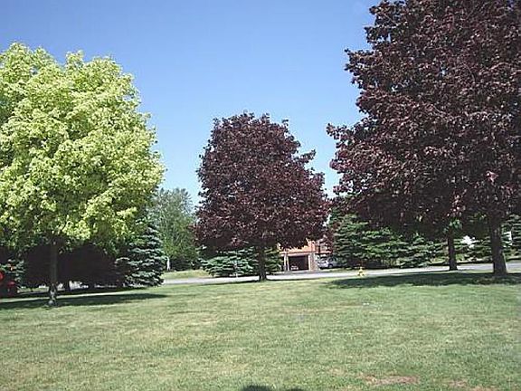 Summer View Front Yard