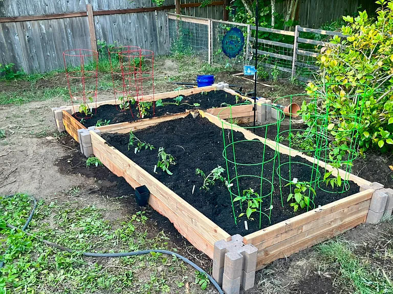 Garden beds