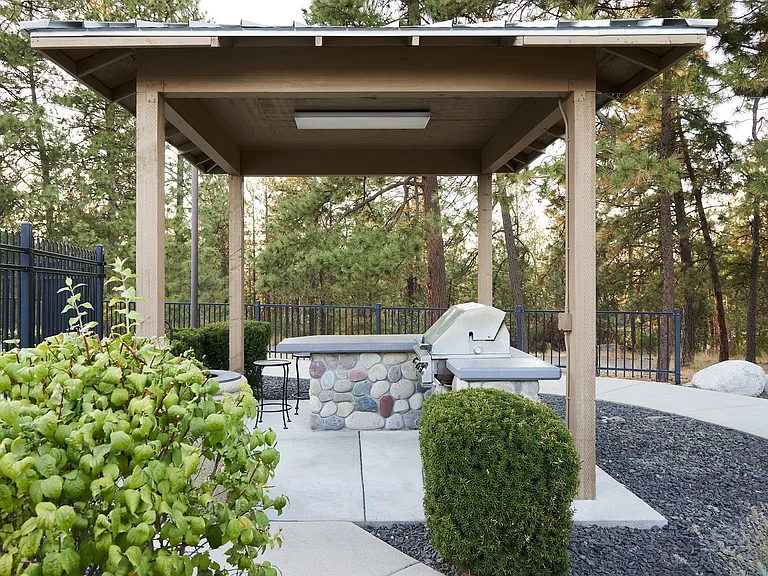 BBQ Grills