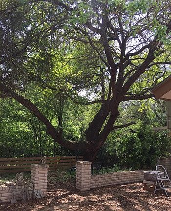 3rd image of 9155 Powhatan Dr