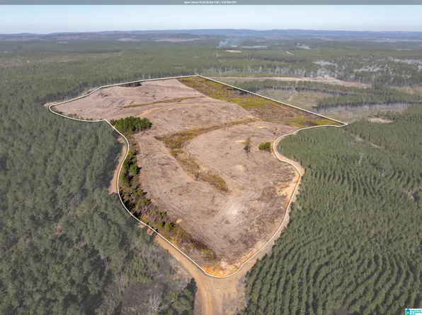 561 Lakewood Dr #1, Columbiana, AL 35051