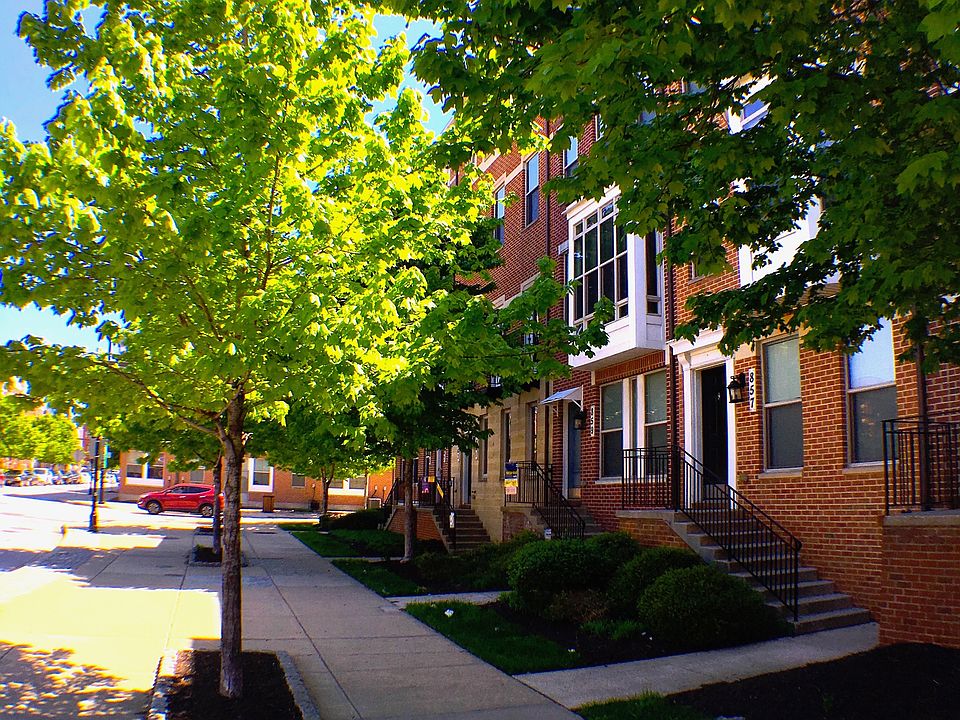 Tree-lined Street