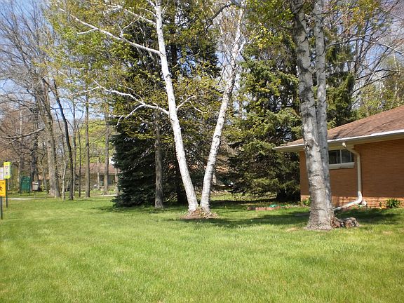 Large trees on side of house