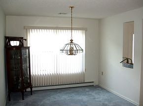 3rd image of 338 Jamaica Blvd