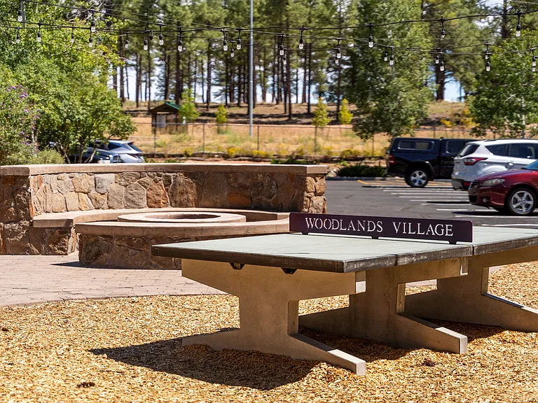 Woodlands Village Apartments — Photo 8
