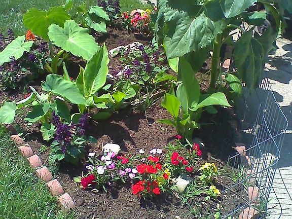 we take pride in our home