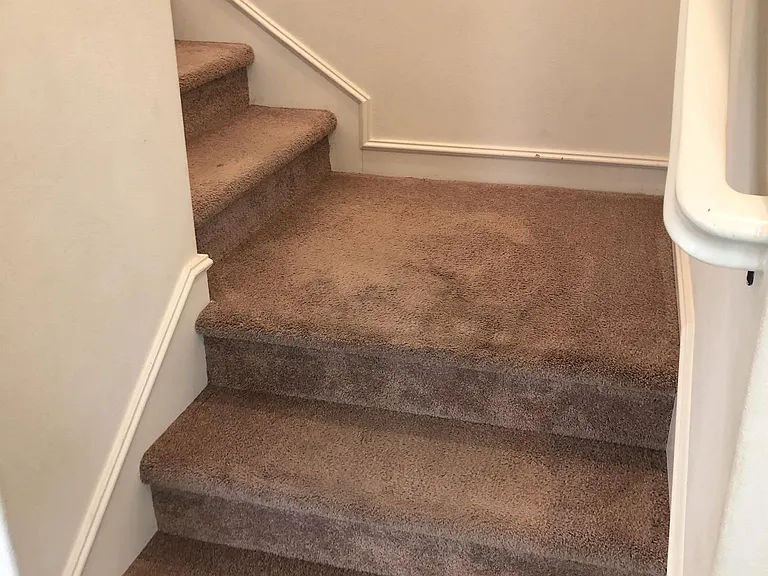 65 Fairymoss — Photo 20