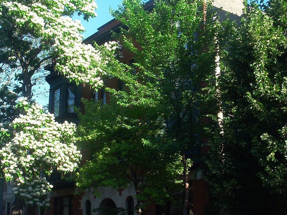 Attractive DePaul Victorian building