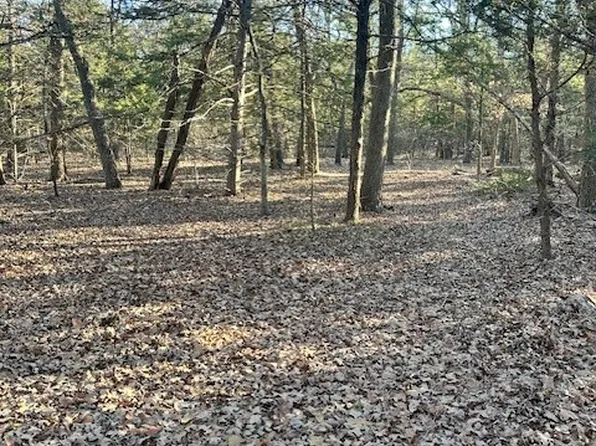 Brandy Ln, Quinlan, TX 75474