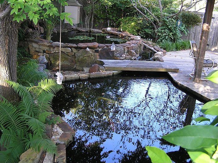 Water Garden and Koi Ponds