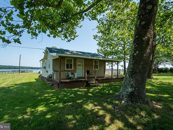 Front Porch & Mature Trees