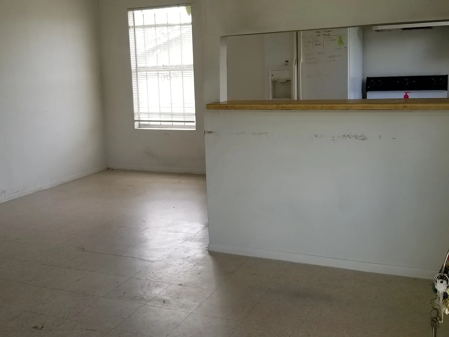 2 bed, 750 sqft, $1,100 — Photo 2
