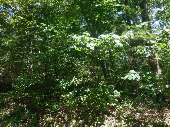 68 Sandy Point Ln Lot 68, Sevierville, TN 37876