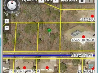 13117 Pale Wren Ave, Brooksville, FL 34614