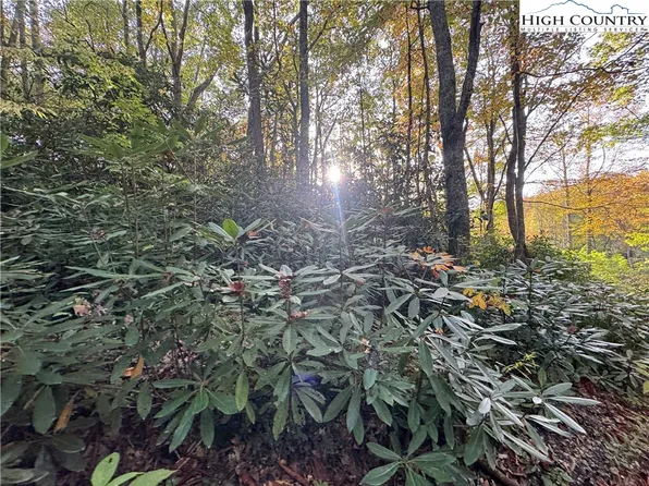 TBD Farview Lane, Newland, NC 28657