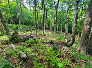 0 Fox Hill Rd, Stoddard, NH 03464