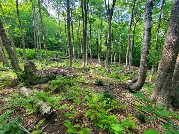 00 Fox Hill Road, Stoddard, NH 03464