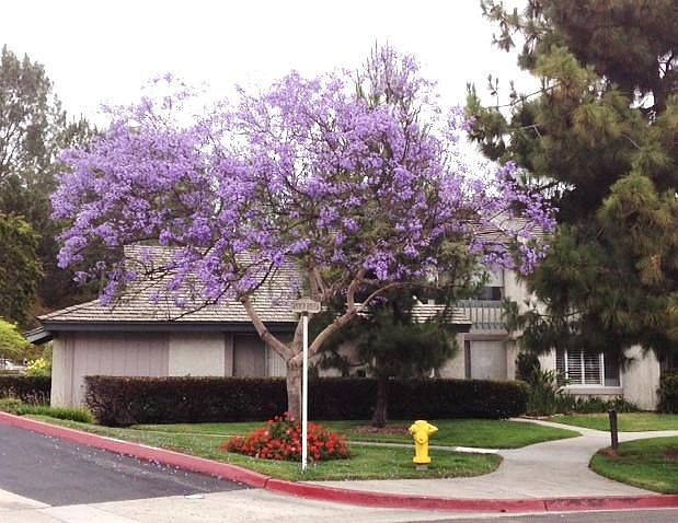 Popular Del Mar Villas Townhome